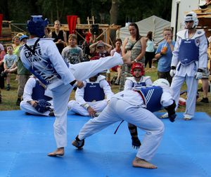 30jasp 01 Taekwondo 22c