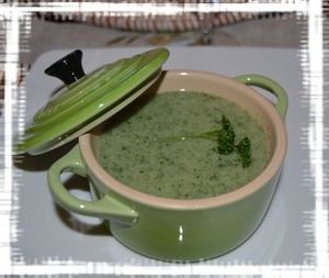 http://img.over-blog.com/300x253/4/14/01/87/soupe-d-orties.JPG