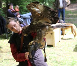 FruehlingsfestGreifvogelschau 02 Steppenadler 03