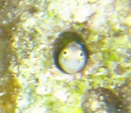 DSC00794