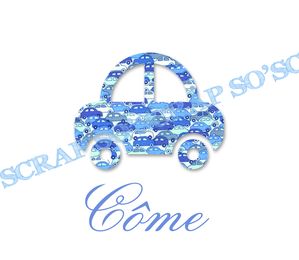 FA005 couverture gauche version voiture