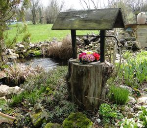 Bassin au printemps2