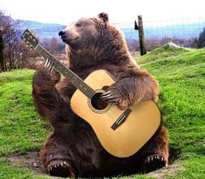 ours et guitare