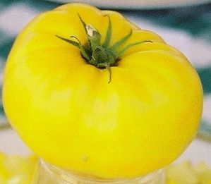 Lemony