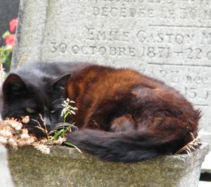 cimetière Mont. 3 091