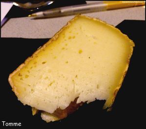 civa-tomme.jpg