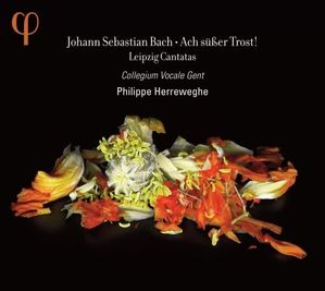 johann sebastian bach ach susser trost herreweghe cantates
