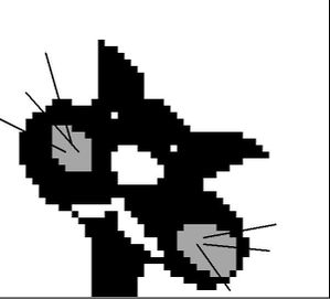 tete-du-chat.JPG