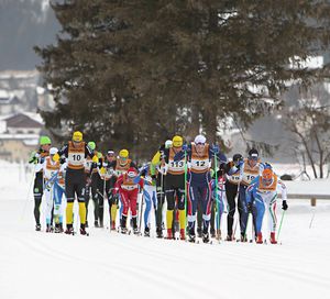 Palmer_Gruppo02.jpg