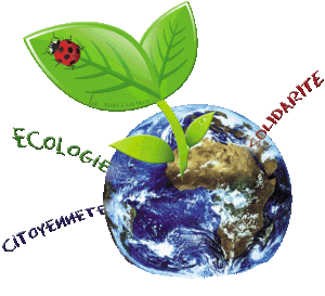 terre-web2_25.gif