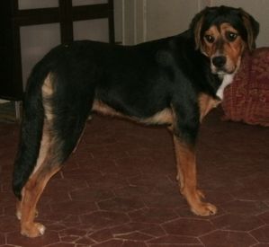 043---Copie.JPG