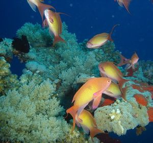 DSC00443a