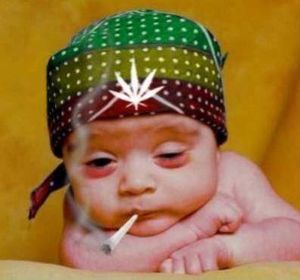 cannabis cool