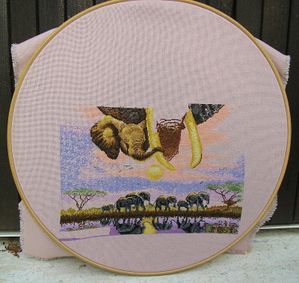 defi-elephant---reduc1.jpg