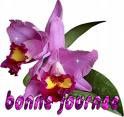 bonne-journ-e2.jpg