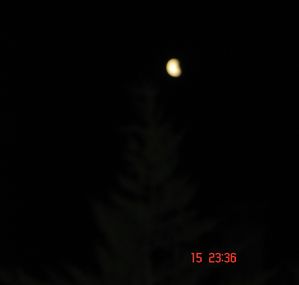 ECLIPSE-15.6RO8.jpg