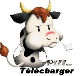 vache.jpg