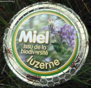 miel luzerne