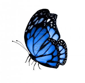 15363842-papillon-bleu-isole-sur-blanc