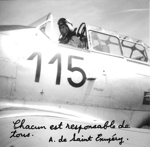 Georges PAGE -dit PEEGEE - Avion T-6