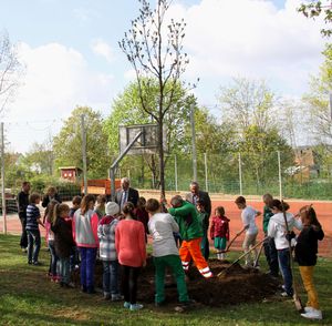 BaumpflanzungGrundschule-05.jpg