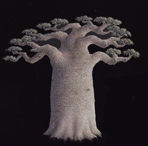 Philippe Davaine le baobab