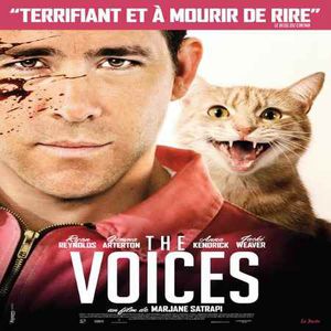 The-Voices-www.zabouille.over-blog.com.jpg