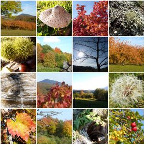couleurs d'automne