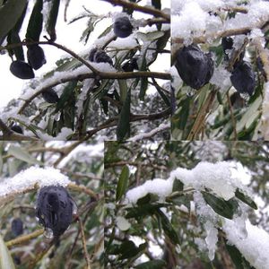 montner sous la neige 45