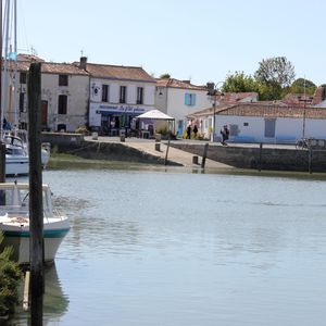 Mornac.St-Sulpice.Oiseaux-026.JPG