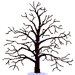 arb plante 061