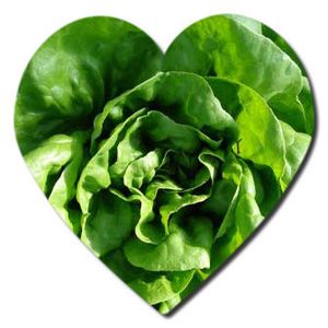 coeur-de-salade.jpg