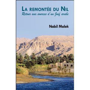 La-remontee-du-Nil-Malek.jpg