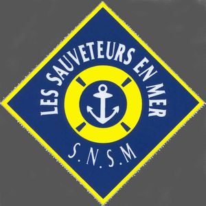 SNSM logo 3