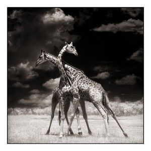 picture by Nick brandt23