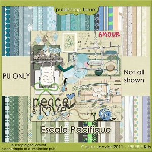 apercu-global-escale-pacifique.jpg