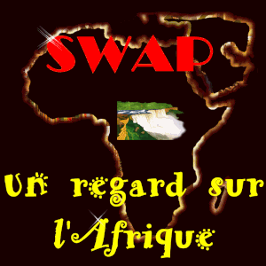 Swap Afrique - Logo