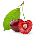 le-temps-des-cerises.png