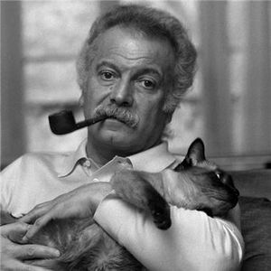 brassens-chat