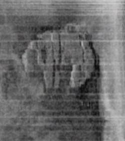 ovni-copie-1.jpg