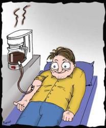 cafe-dependance.jpg
