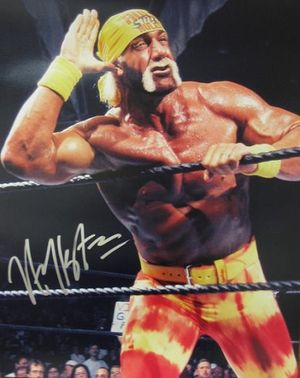 hulk-hogan-hypes-the-crowd.jpg