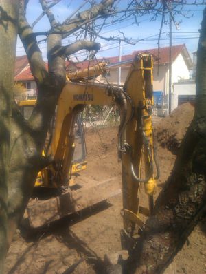 IMAG0190.jpg