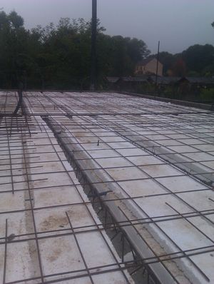 IMAG0444.jpg