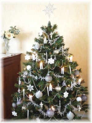 Noel 2009 06