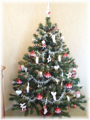 Deco Noel 2010 01