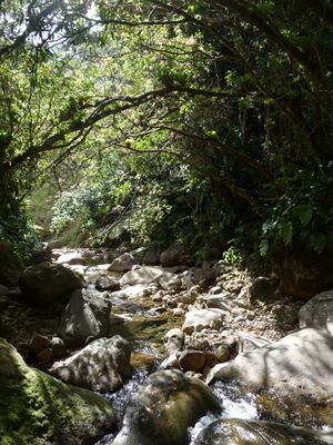 Les bains chauds de Matouba - Le blog de des Bretons en Guadeloupe