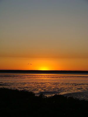 Broome