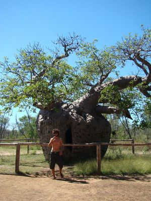 Gibb River Road