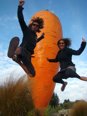 Tongariro & Taranaki